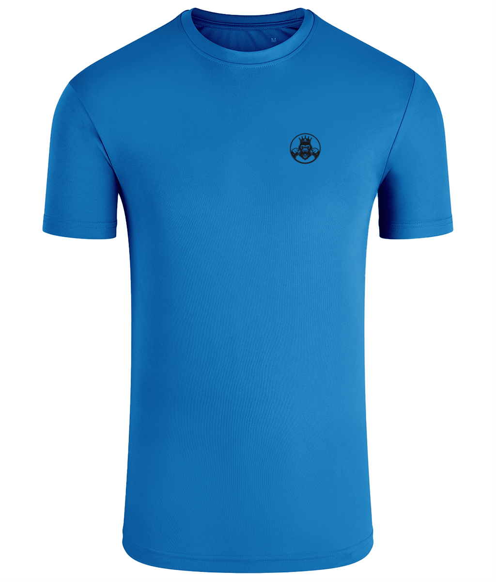 Men’s Performance T‑Shirt | Double Logo- Stocked Colours