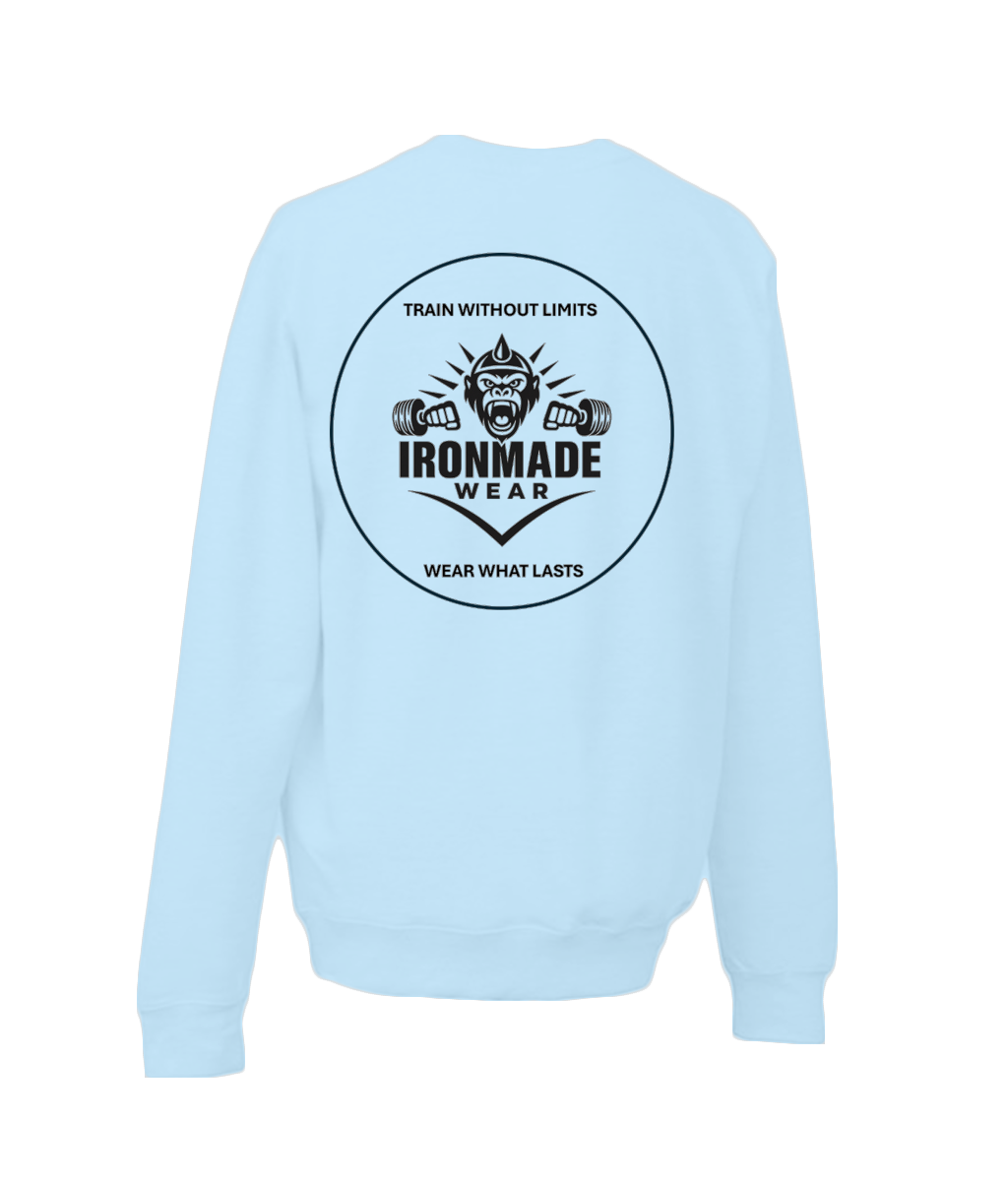 Kids double logo sweatshirt in Sky Blue – soft cotton kids gym sweatshirt