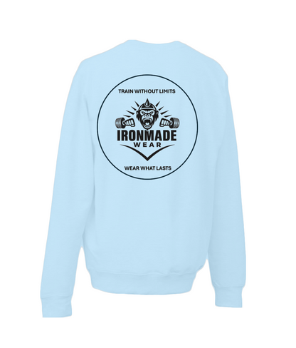Kids double logo sweatshirt in Sky Blue – soft cotton kids gym sweatshirt