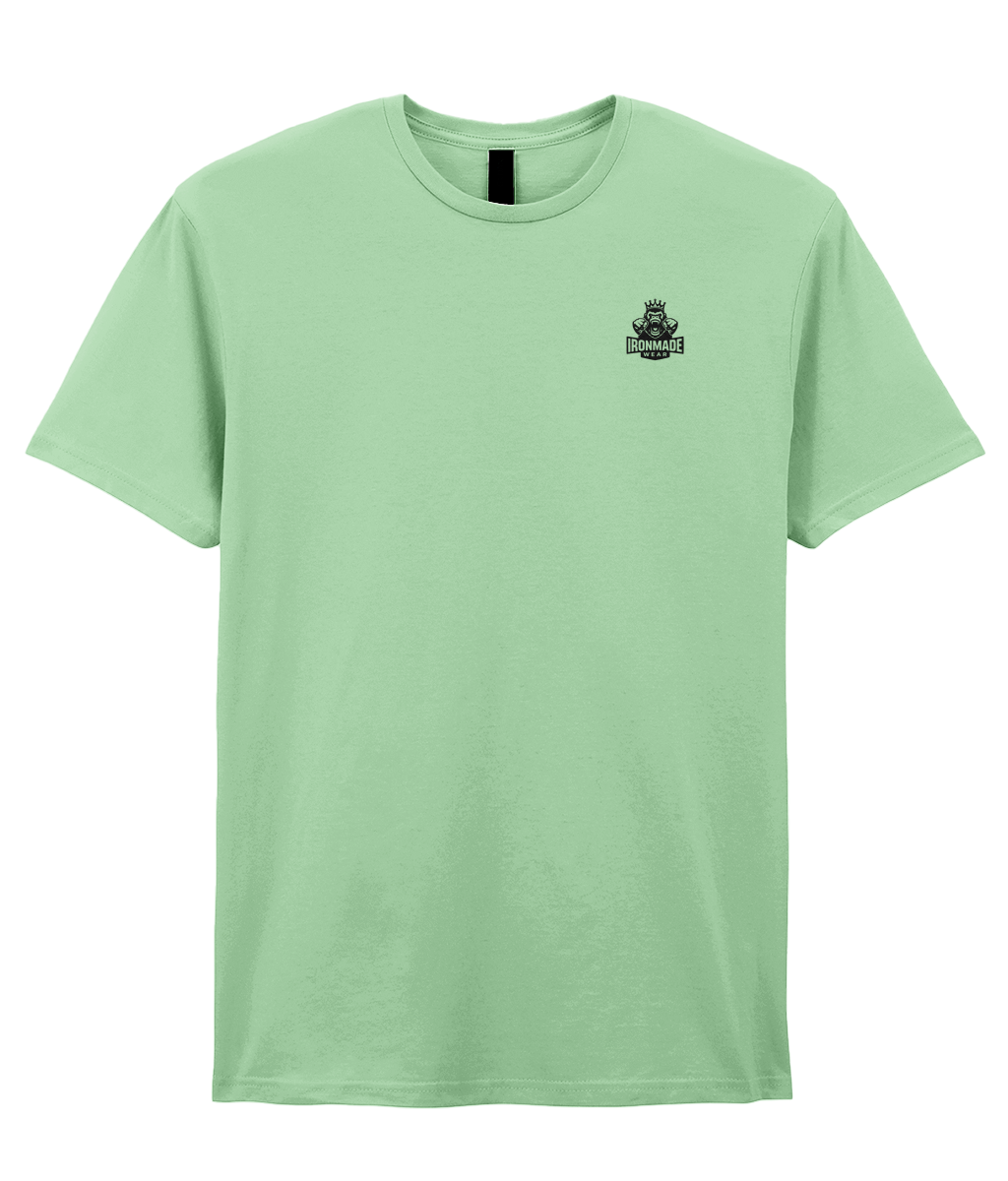Front- Mint: Men’s double logo ringspun T‑shirt in Mint